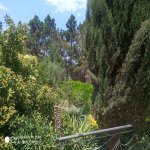 Kirayə (günlük) 9 otaqlı Bağ evi, Şüvəlan, Xəzər rayonu 7