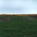 Satılır Torpaq Quba 3