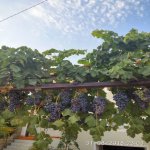 Satılır 4 otaqlı Həyət evi/villa, Masazır, Abşeron rayonu 20