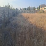 Продажа Участок, Зиря, Хязяр район 3