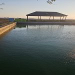 Satılır Torpaq, Novxanı, Abşeron rayonu 11