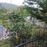 Kirayə (günlük) 3 otaqlı Bağ evi Quba 6