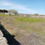 Satılır Torpaq, Nardaran qəs., Sabunçu rayonu 2