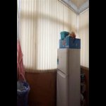 Kirayə (aylıq) 2 otaqlı Köhnə Tikili, İnşaatçılar metrosu, Yasamal rayonu 13