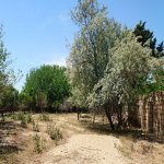 Satılır Torpaq, Goradil, Abşeron rayonu 2