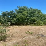 Satılır Torpaq, Saray, Abşeron rayonu 3