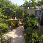 Satılır 4 otaqlı Həyət evi/villa, Novxanı, Abşeron rayonu 6