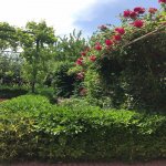 Kirayə (aylıq) 7 otaqlı Həyət evi/villa, Binəqədi rayonu 2