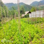Satılır 6 otaqlı Həyət evi/villa İsmayıllı 4