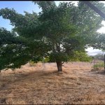 Satılır 3 otaqlı Həyət evi/villa Xızı 9