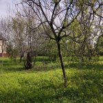Satılır Torpaq Qəbələ 3