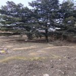 Satılır Torpaq, İçərişəhər metrosu, Badamdar qəs., Səbail rayonu 1