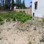 Продажа Участок, Новханы, Абшерон район 13