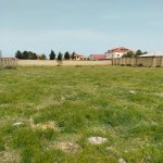 Продажа Участок, Новханы, Абшерон район 1