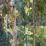 Satılır 7 otaqlı Həyət evi/villa Göyçay 8