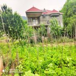 Satılır 6 otaqlı Həyət evi/villa İsmayıllı 4