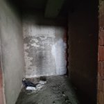 Продажа 2 комнат Новостройка, м. 28 Мая метро, БСУ, Насими район 13