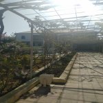 Satılır 5 otaqlı Bağ evi, Bilgəh qəs., Sabunçu rayonu 32