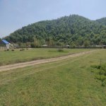 Satılır Torpaq Qəbələ 4