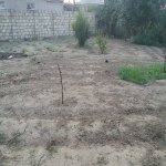 Satılır Torpaq, Masazır, Abşeron rayonu 2