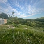 Kirayə (günlük) 5 otaqlı Həyət evi/villa Şamaxı 14