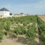 Продажа Участок, Зиря, Хязяр район 2