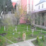 Satılır 6 otaqlı Həyət evi/villa, Nəsimi metrosu, 6-cı mikrorayon, Binəqədi rayonu 9