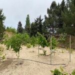 Kirayə (aylıq) 5 otaqlı Bağ evi, Novxanı, Abşeron rayonu 5