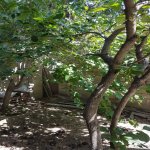 Kirayə (aylıq) 6 otaqlı Həyət evi/villa, Xalqlar dostluğu metrosu, 8-ci kilometr, Nizami rayonu 6