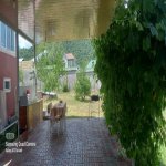 Kirayə (günlük) 4 otaqlı Həyət evi/villa Qəbələ 11