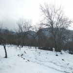 Satılır Torpaq İsmayıllı 3