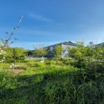 Kirayə (günlük) 4 otaqlı Həyət evi/villa İsmayıllı 14