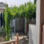 Kirayə (günlük) 3 otaqlı Bağ evi, Mərdəkan, Xəzər rayonu 24