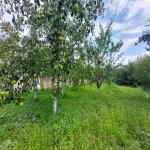 Продажа 10 комнатная Дома/Виллы Губа 7