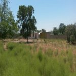 Satılır Torpaq, Saray, Abşeron rayonu 20