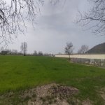 Satılır Torpaq Qəbələ 6