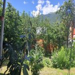 Kirayə (günlük) 3 otaqlı Həyət evi/villa Qax 13
