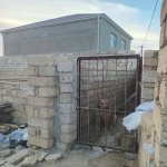 Satılır Torpaq, Saray, Abşeron rayonu 3