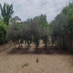 Satılır 7 otaqlı Həyət evi/villa, Novxanı, Abşeron rayonu 5