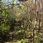 Satılır 3 otaqlı Həyət evi/villa, Əhmədli metrosu, Əhmədli, Xətai rayonu 9