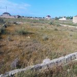 Satılır Torpaq, Türkan, Xəzər rayonu 4
