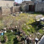 Продажа 5 комнат Дома/Виллы, м. Короглу метро, пос. Забрат, Сабунчу район 2