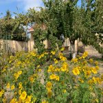 Satılır 6 otaqlı Həyət evi/villa, Buzovna, Xəzər rayonu 27