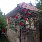 Kirayə (aylıq) 9 otaqlı Həyət evi/villa, Badamdar qəs., Səbail rayonu 2