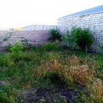 Satılır 4 otaqlı Bağ evi, Koroğlu metrosu, Bilgəh qəs., Sabunçu rayonu 6