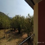 Kirayə (günlük) 3 otaqlı Həyət evi/villa Qəbələ 32