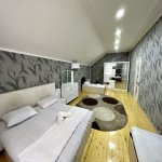Kirayə (günlük) 7 otaqlı Bağ evi Qəbələ 6