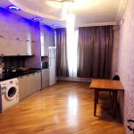 Kirayə (günlük) 2 otaqlı Yeni Tikili, 28 May metrosu, Nəsimi rayonu 3