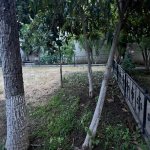 Kirayə (aylıq) 5 otaqlı Həyət evi/villa, Neftçilər metrosu, Sabunçu rayonu 23