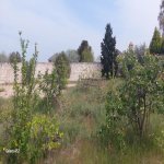 Satılır Torpaq, Novxanı, Abşeron rayonu 10